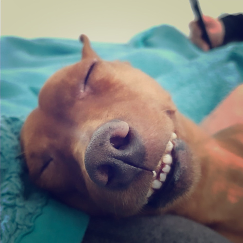 Meet your Posher, Jeanne